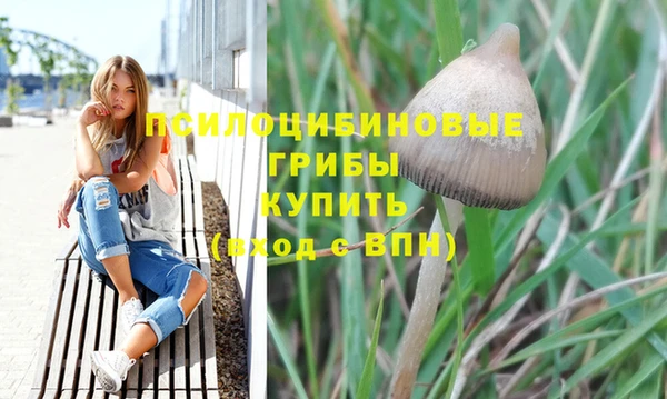 не бодяженный Балахна