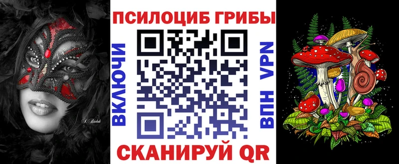 Псилоцибиновые грибы Cubensis  Белинский 